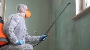 Trusted Commerce, OK Mold Remediation Experts